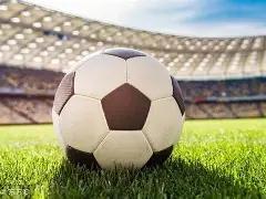 张大奕或已,退出,蒋凡风波后,米兰体育官网,米兰体育平台,米兰体育链接,米兰体育官方