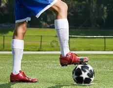 宫鲁鸣再执,女篮教鞭,助力中国篮,米兰体育官网,米兰体育平台,米兰体育链接,米兰体育官方