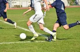 王菲评价孙,俪引热议,移民事件刚,米兰体育官网,米兰体育平台,米兰体育链接,米兰体育官方