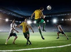 王菲评价孙,俪引热议,移民事件刚,米兰体育官网,米兰体育平台,米兰体育链接,米兰体育官方