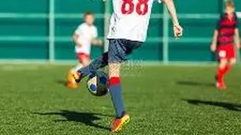 娱乐圈十五位满族明星，谁是发展最亮眼的？