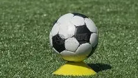 米兰体育 产品 083931 fuj