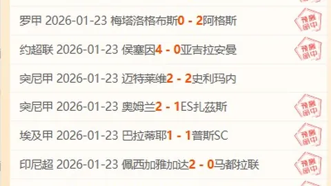 “斯卢茨基获资深记者好评，申花引热议，球迷评价分歧”